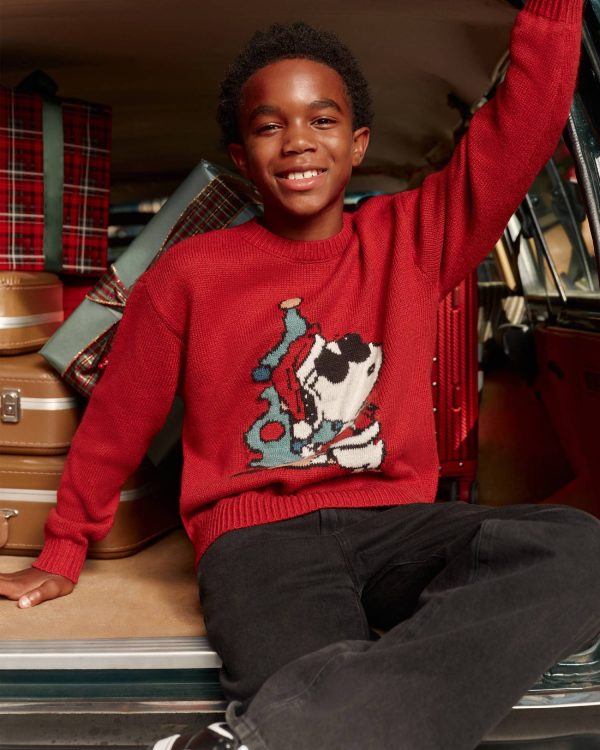 Snoopy Graphic Crew Sweater